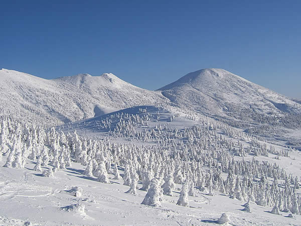 f0087787_11531969.jpg