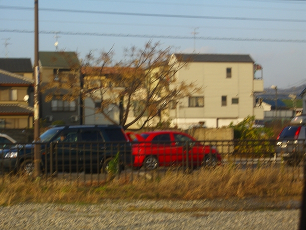 d0092388_1115079.jpg