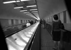 f0127388_052150.jpg