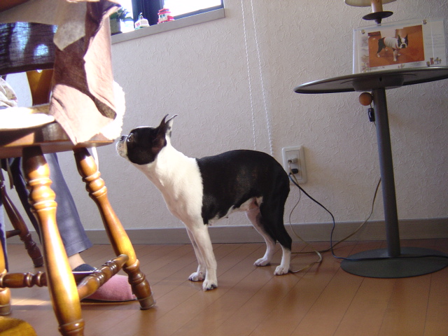 d0087091_15574213.jpg
