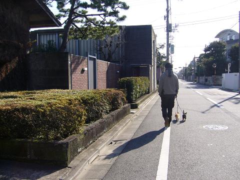 e0009391_2364939.jpg