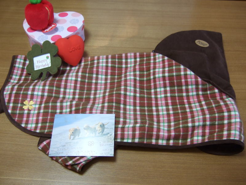 c0104492_385548.jpg