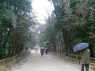 f0037097_23501386.jpg