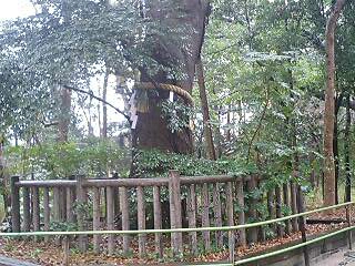 f0037097_23502587.jpg