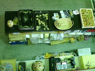 f0037097_3141868.jpg