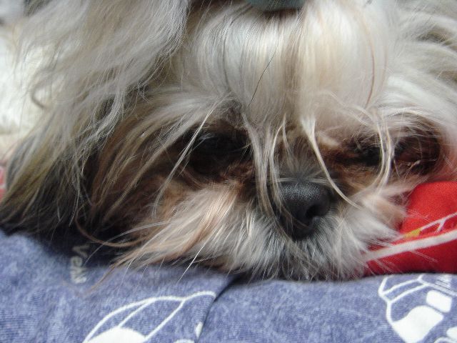 c0090198_1451092.jpg