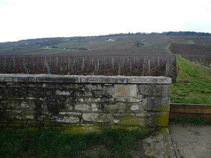 b0060399_0143464.jpg