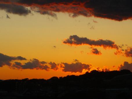 e0077899_8375378.jpg