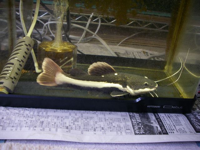 e0010301_13361068.jpg