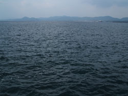 f0048405_12463748.jpg