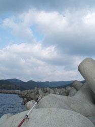 f0048405_12464437.jpg