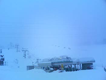 a0041508_0202491.jpg