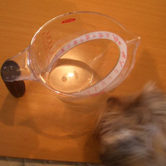 c0036617_19452650.jpg