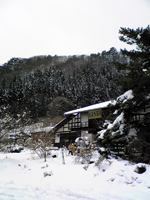 e0002927_23564896.jpg