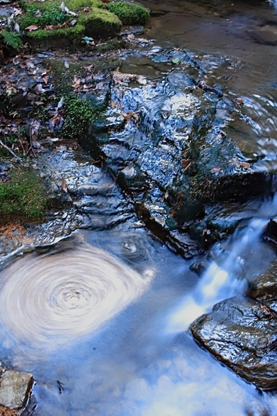 e0025930_1748951.jpg