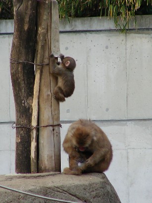 f0002833_042782.jpg