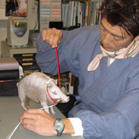 d0033734_11124138.jpg