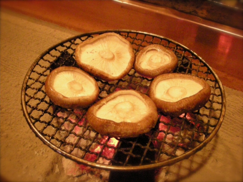 a0072337_2126286.jpg