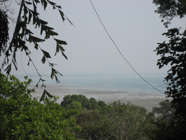 f0025741_116318.jpg