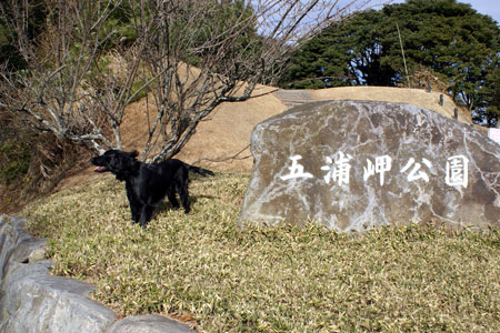 f0018144_19492859.jpg