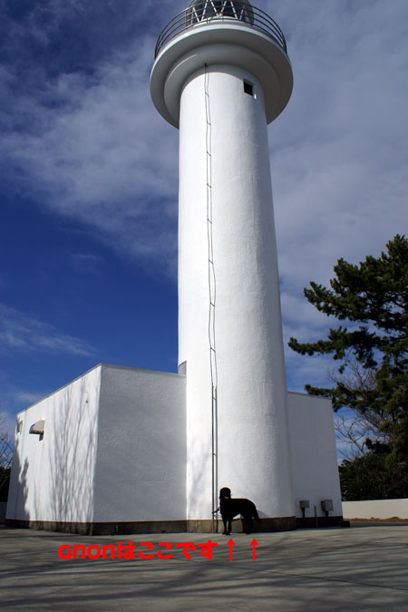 f0018144_19493616.jpg