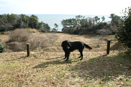 f0018144_19522389.jpg