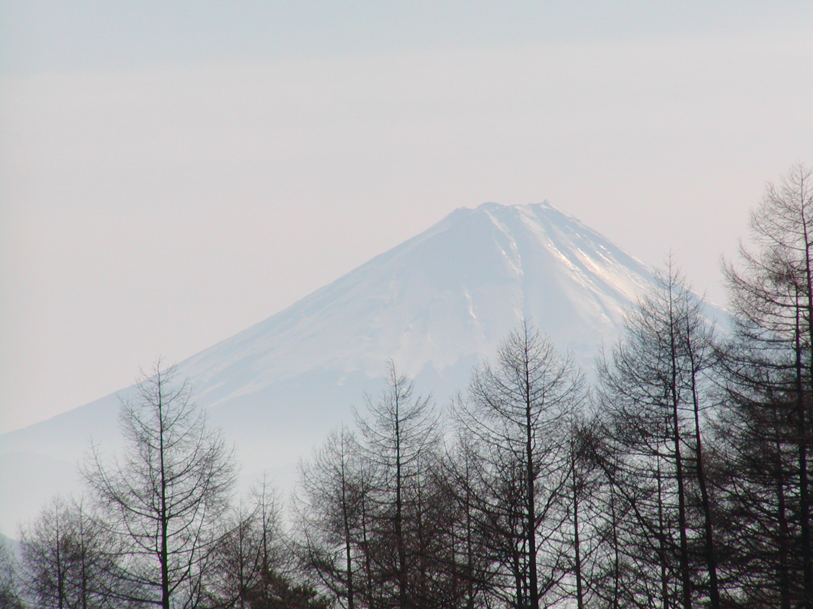 f0039446_14543475.jpg