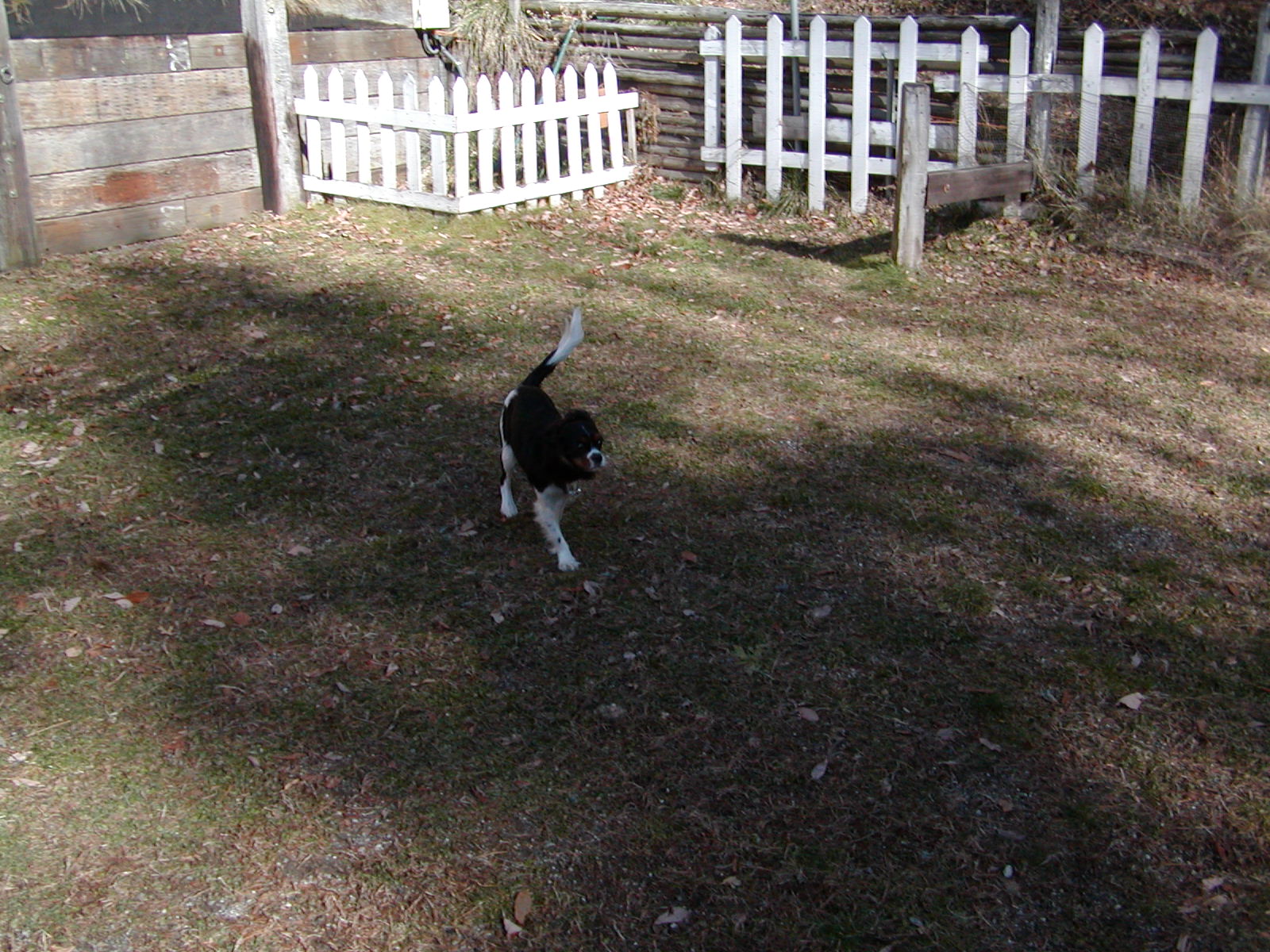 f0039446_1543850.jpg