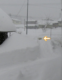 a0009750_16462613.jpg