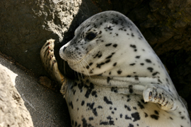 e0080452_2044541.jpg