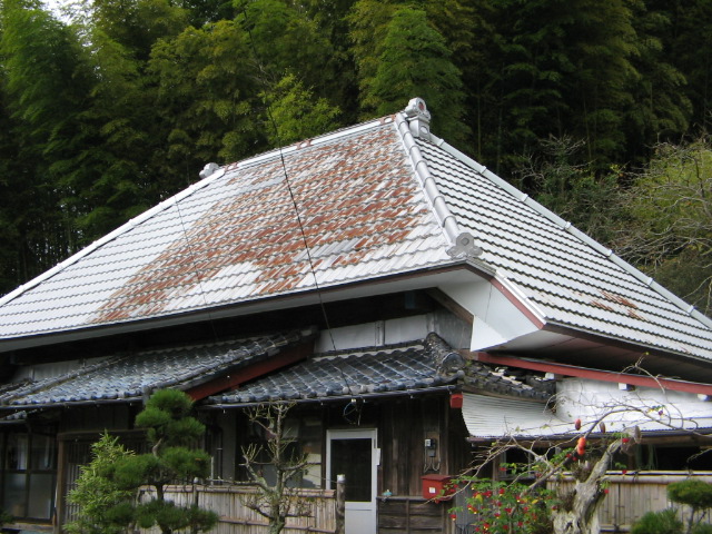 b0071653_17325840.jpg