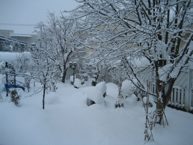 a0075455_865010.jpg