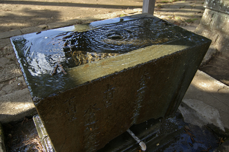 d0100156_2044390.jpg