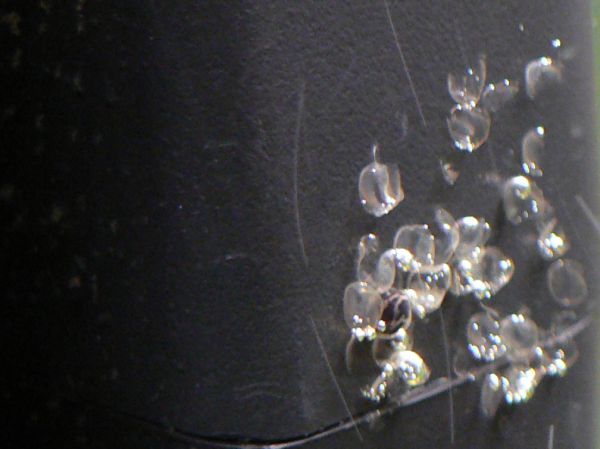 e0072757_0433584.jpg