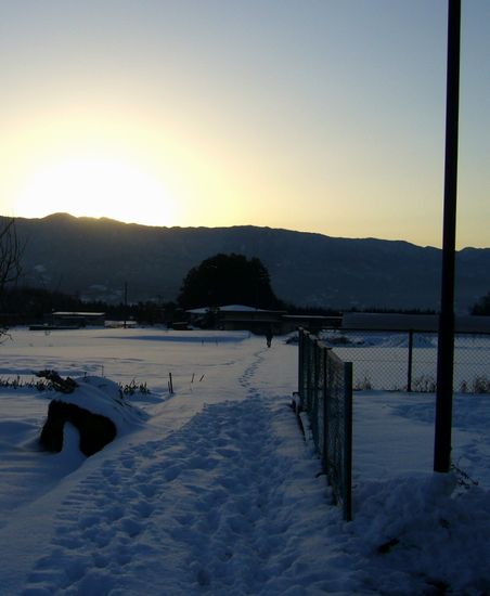 b0015260_7492652.jpg