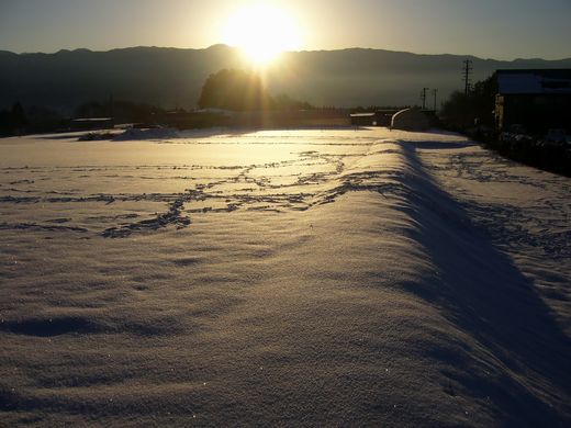 b0015260_7592547.jpg