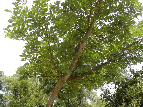 d0063263_12443317.jpg