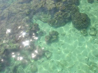 f0117666_23221367.jpg