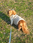 f0089568_23435738.jpg