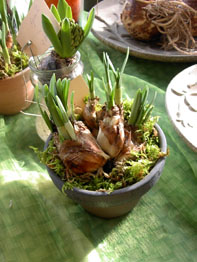 f0032969_2444615.jpg