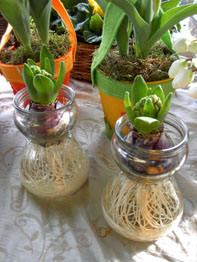 f0032969_2451158.jpg