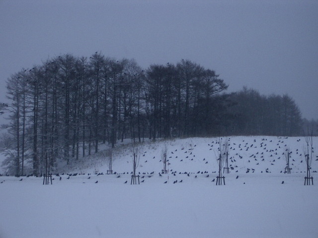 e0100772_2338142.jpg