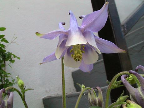 c0016987_1825326.jpg