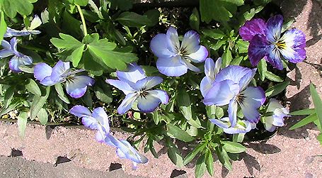 c0016987_18255090.jpg