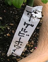 c0016987_18255919.jpg