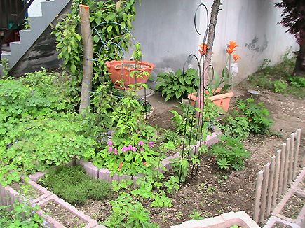 c0016987_18434110.jpg