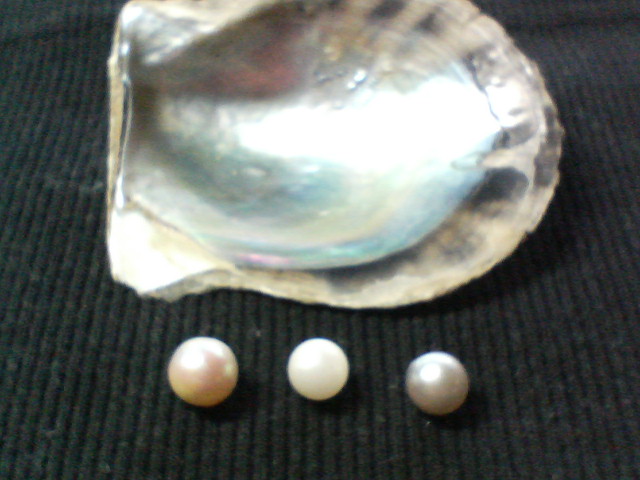 a0089790_13382922.jpg