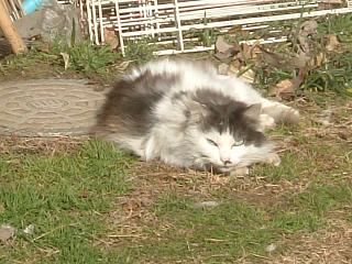 a0065800_14322891.jpg