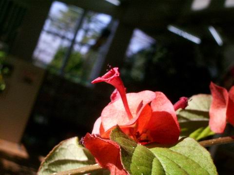 e0025300_18154930.jpg