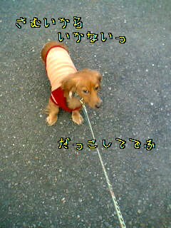 d0046905_1284050.jpg